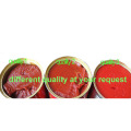 Healthy Organic Canned 70g Tomato Paste of High Quality